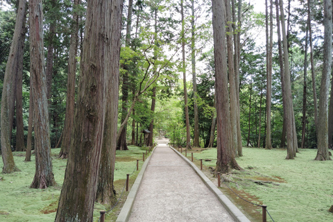 Nara: Światowe dziedzictwo Yakushi-ji i Toshodai-ji w 3 godziny