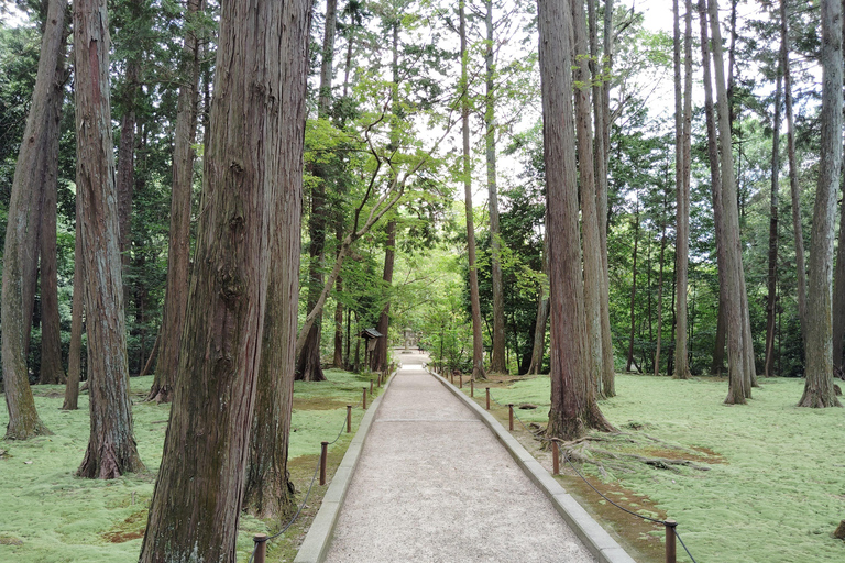 Nara: World Heritage Yakushi-ji &amp; Toshodai-ji in 3 Hours