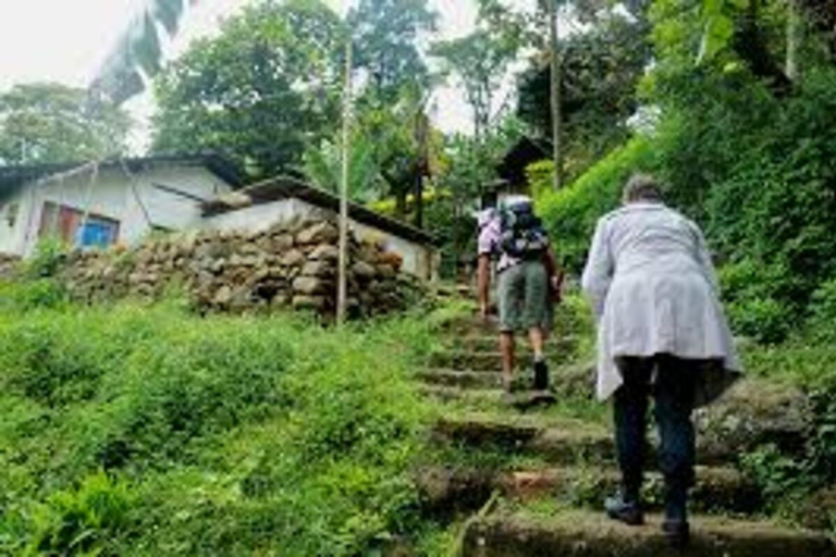 Kandy: Heeloya Village Tour with Lunch and Guide