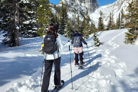 Women's Snowshoeing Tour: Rocky Mountain National Park