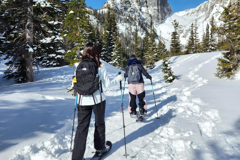 Women's Snowshoeing Tour: Rocky Mountain National Park
