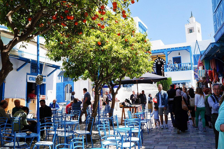 Excursion à Tunis, Carthage et Sidi Bou Said