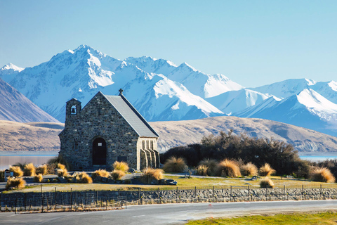 Au départ de Queenstown : Excursion guidée d&#039;une demi-journée au Mont Cook