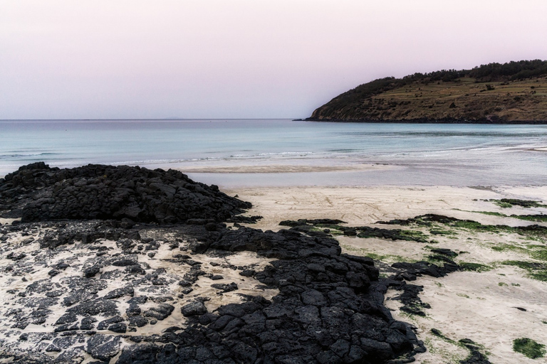 Jeju eiland: BTS Tour (Jeju Oost) met ophaalservice vanaf je hotel