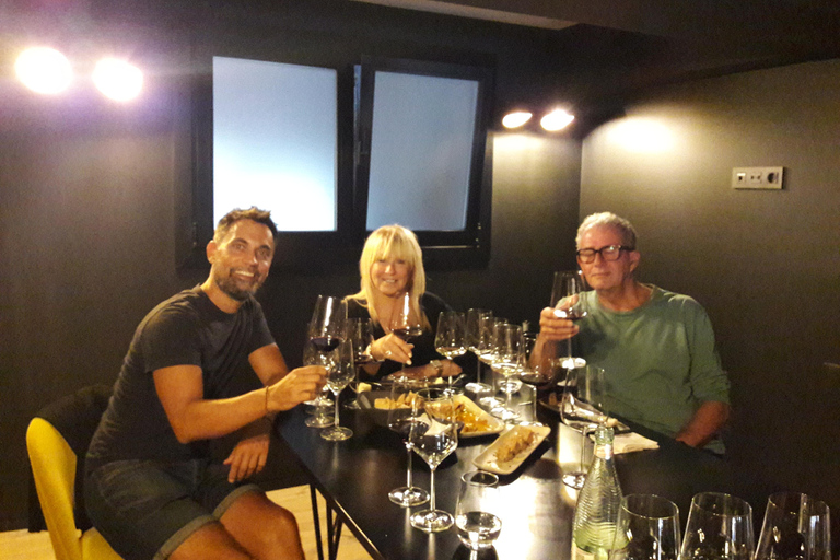 San Sebastian: Private Walking Tour with Wine Tasting