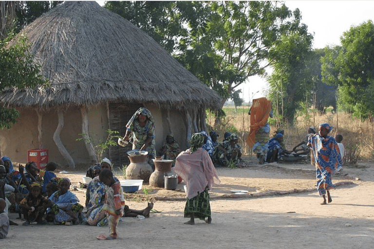 From Durban: Zulu and Nguni Isimangaliso area Village Tour