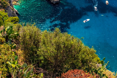 From Naples: Élite Tour CAPRI & ANACAPRI, a VIP experience