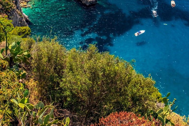 From Naples: Élite Tour CAPRI & ANACAPRI, a VIP experience
