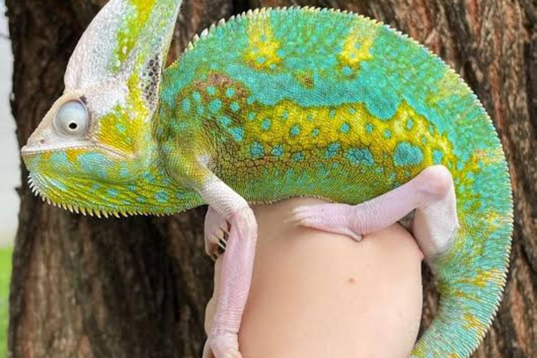 Zanzibar: Jozani-apen, vlindertuin en reptielenpark