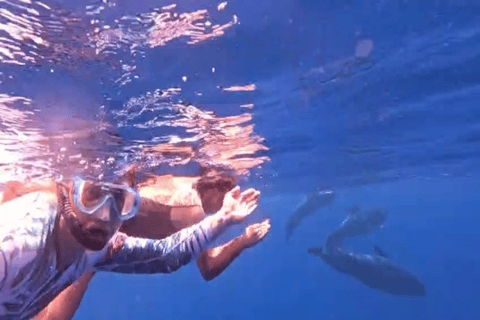 Mirissa: Whale Watching & Snorkeling Adventure with Guide