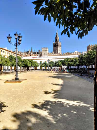 Barrio de Santa Cruz: a private walking tour through Seville's old Jewish quarter.