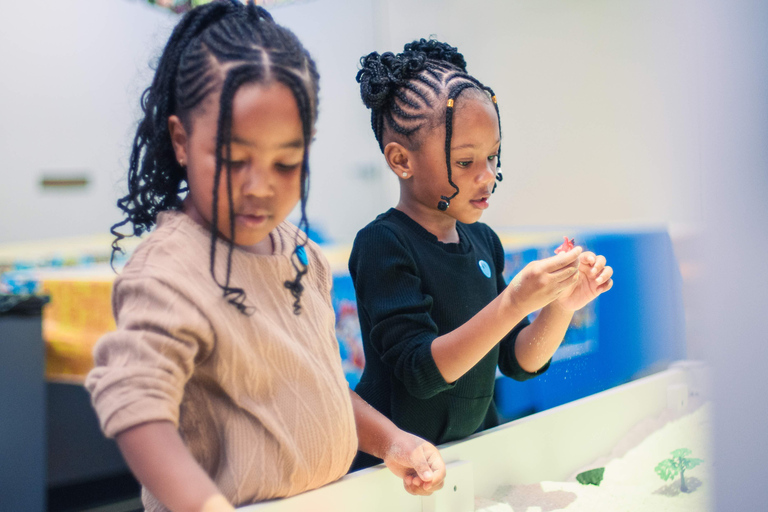 New York City : Billets d'entrée pour le "terrain de jeu complet" de Manhattan