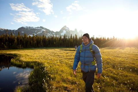 Banff: Guided Nature Walk with Bear Country Safety Tips
