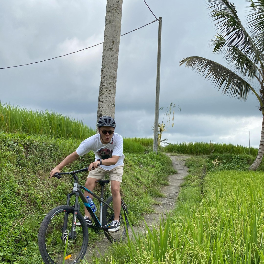 Mtb Rice Ubud: Downhill Bike Tour with Rice Fields, Volcano and Meal | GetYourGuide