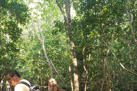 Zanzibar: tour della foresta di Jozani e del santuario delle tartarughe marine