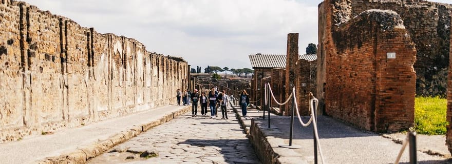 Pompéi : Visite privée avec guide pour les personnes en fauteuil roulant