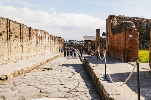 Pompeii: Wheelchair-accessible Private Tour with a Guide Private Van Transfer from Naples, Guide and Tickets