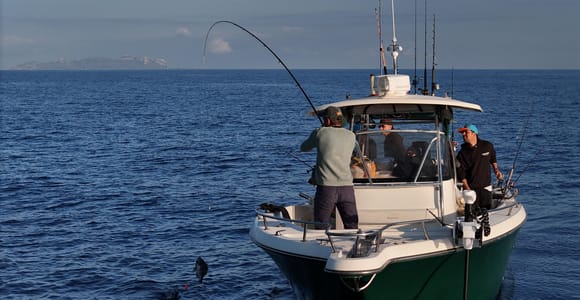 From Trapani: Full-Day Fishing Trip by Boat