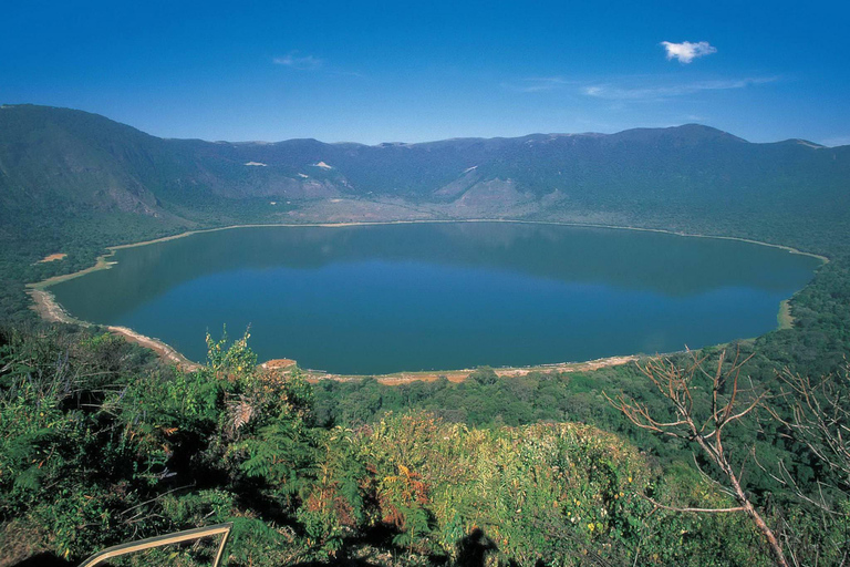 أروشا: رحلة مرتفعات نجورونجورو التي تستغرق 6 أيام مع بحيرة النطرون