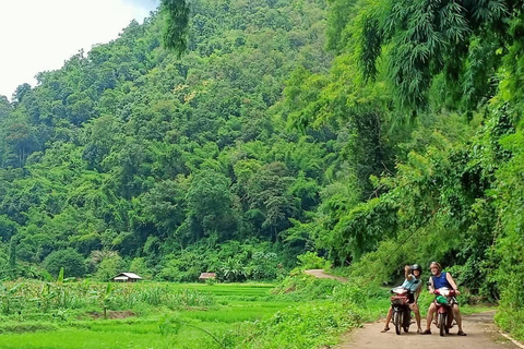 Chiangmai Full-Day Guided Backroad Self Drive Scooter Tour