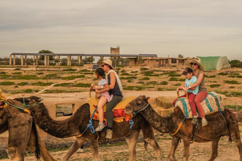 Marrakech: Agafay woestijn Quad &amp; kamelenritten met dinnershow