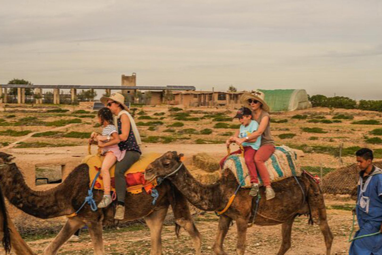 Marrakech: Agafay woestijn Quad &amp; kamelenritten met dinnershow