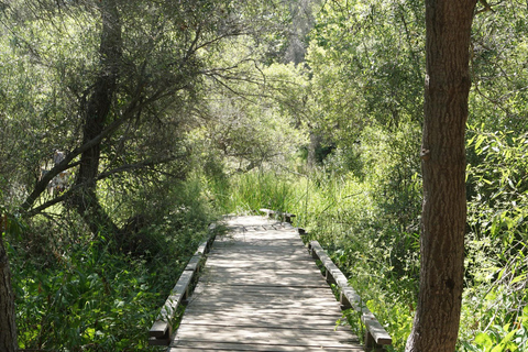 San Diego: Guided Natural History WalkSan Diego: Guided Natural History Walk - Private Tour