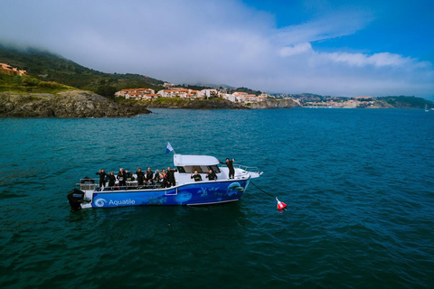 Argelès-sur-Mer: snorkel en el Parque Natural Marino