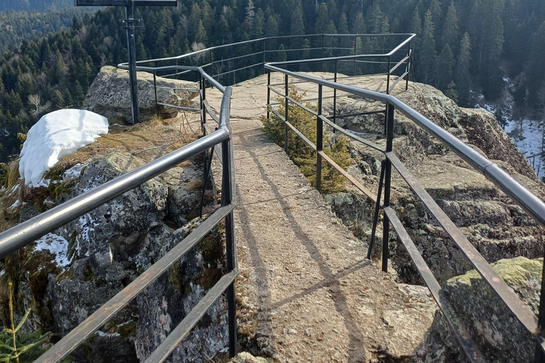 博罗韦茨徒步和雪橇之旅，参观比斯特里察皇家宫殿博罗维茨徒步和雪橇之旅，参观比斯特里察皇家宫殿