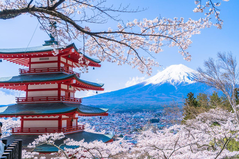 Tour zur fünften Station des Fuji und zum ThermalbadFuji-Ausflug ab Tokyo Station, Abfahrt um 7:30 Uhr