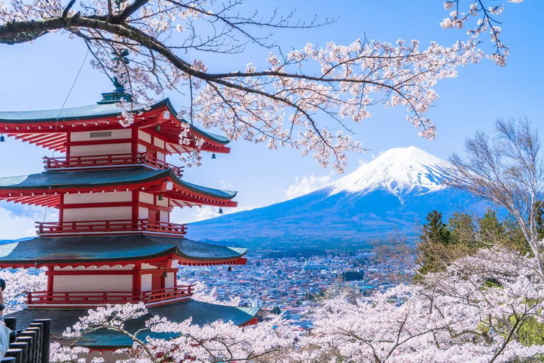 Tour zur fünften Station des Fuji und zum ThermalbadFuji-Ausflug ab Tokyo Station, Abfahrt um 7:30 Uhr