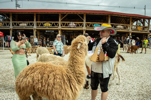 From Medellín: Guatapé Tour with Alto del Chocho Farm Visit