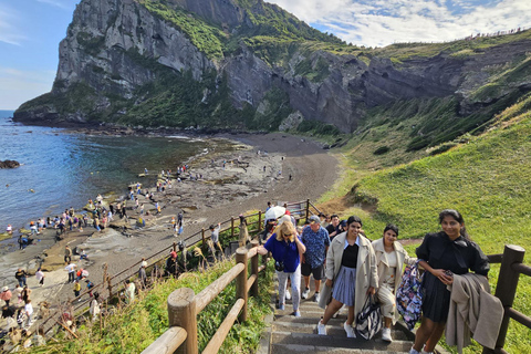Jeju Tour | Jungmun & Seogwipo Pick-up | UNESCO Highlights