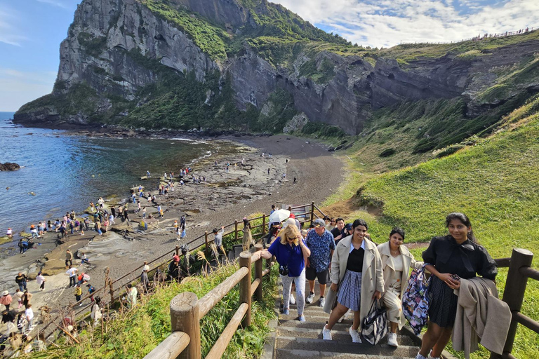 Jeju Tour | Jungmun & Seogwipo Pick-up | UNESCO Highlights