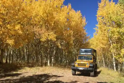 Colorado Jeep Tours - Gold Belt Tour