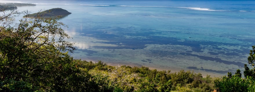 Randonnée au Morne et exploration du Sud-Ouest (avec transport)