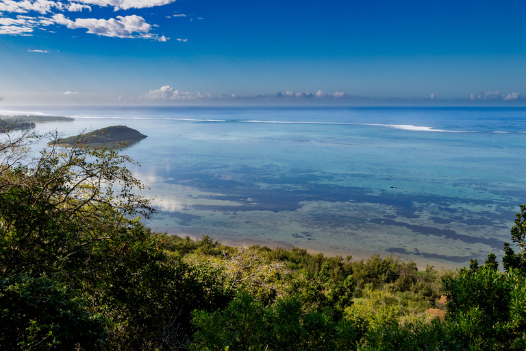 Randonnée au Morne et exploration du Sud-Ouest (avec transport)