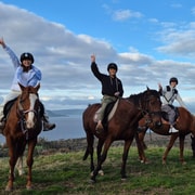 Rotorua: Scenic Horse Trek Rotorua: Scenic Horse Trek