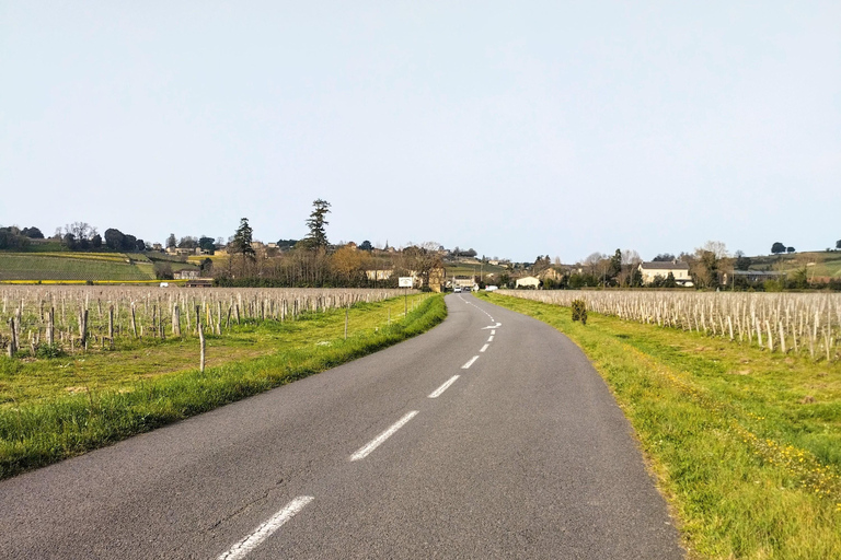 Bordeaux Countryside &amp; Vineyards by Gravel Bike