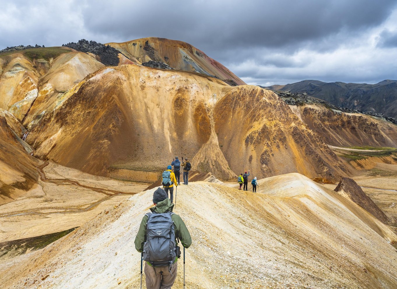 Reykjavik: Vandretur i højlandet ved Landmannalaugar og varme kilder