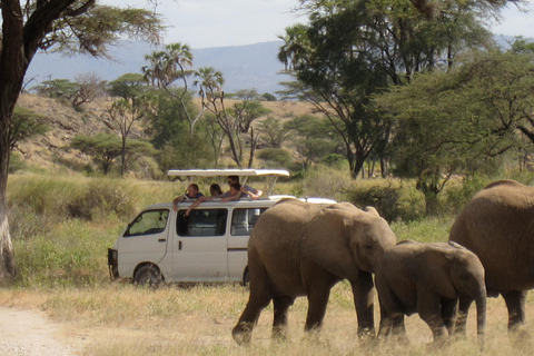 9-Days Mount Kenya and Samburu Safari