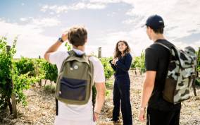 Guided Tour of the Estate & Tasting of 3 wines