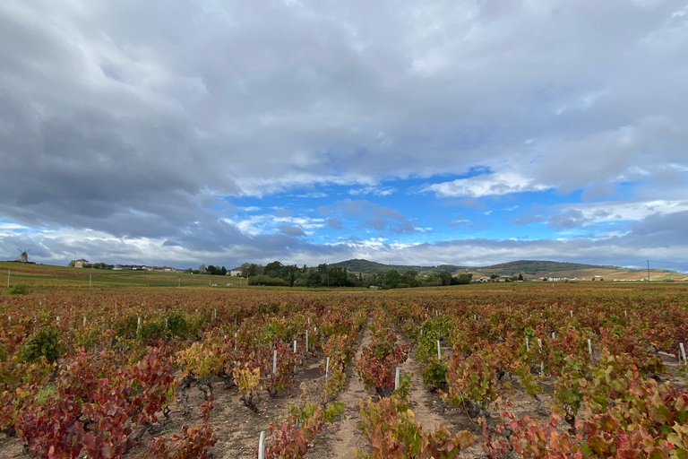 Lyon: Ausflug in die Weinberge, Weinprobe und BistronomierestaurantPrivate Tour auf Französisch