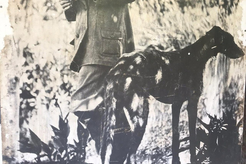Karen Blixen Museum Experience: Nairobi Half-Day Guided Tour