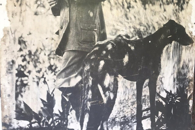 Karen Blixen Museum Experience: Nairobi Half-Day Guided Tour