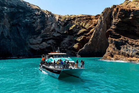 Christchurch: Akaroa Day Tour with Nature Cruise - Image 2