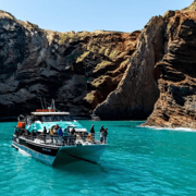 Christchurch: Akaroa Day Tour with Nature Cruise Christchurch: Akaroa Day Tour with Nature Cruise