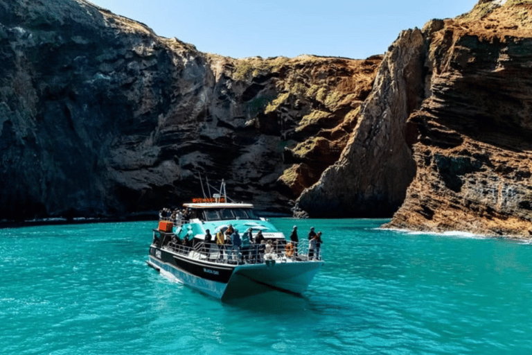 Christchurch: Akaroa Day Tour with Nature Cruise
