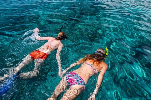 Gili Island: Snorkeling Tour To 3 Spot by Speedboat Gili Island: Snorkeling Tour To 3 Spot by Speedboat