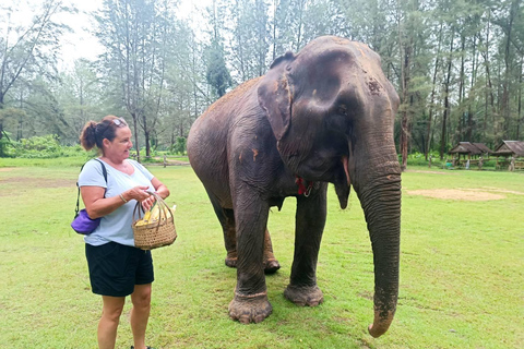 Khao Lak: Tour guiado pelo santuário de elefantesKhao Lak: excursão guiada de meio dia ao santuário de elefantes